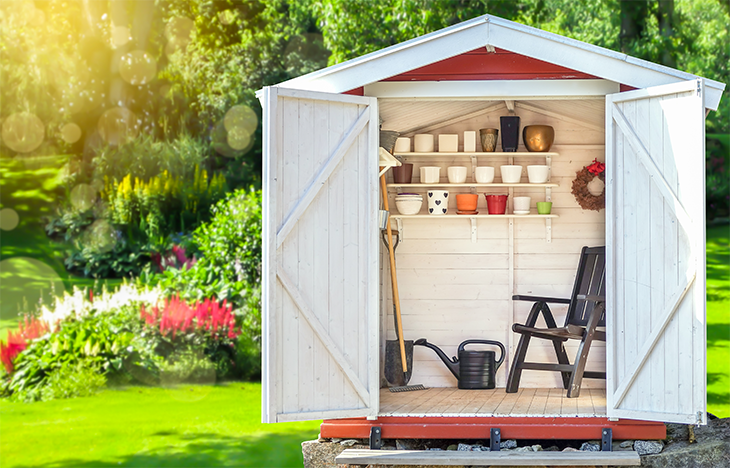 Shed in a backyard